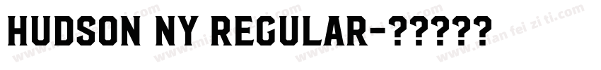 Hudson NY Regular字体转换